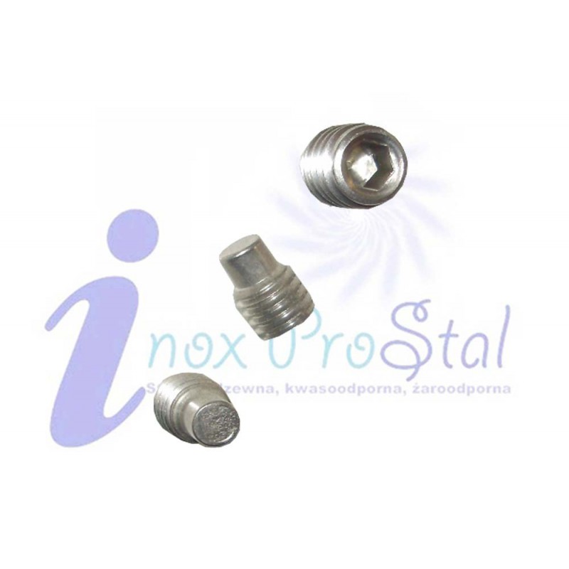 Din 915 A2 M 2,5x 6 Wkręt Dociskowy z Czopem Walcowym Inox